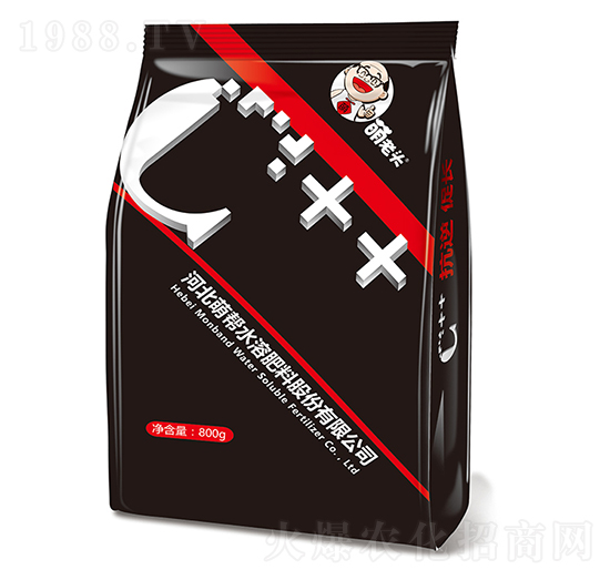 �����^-�Ȏ�