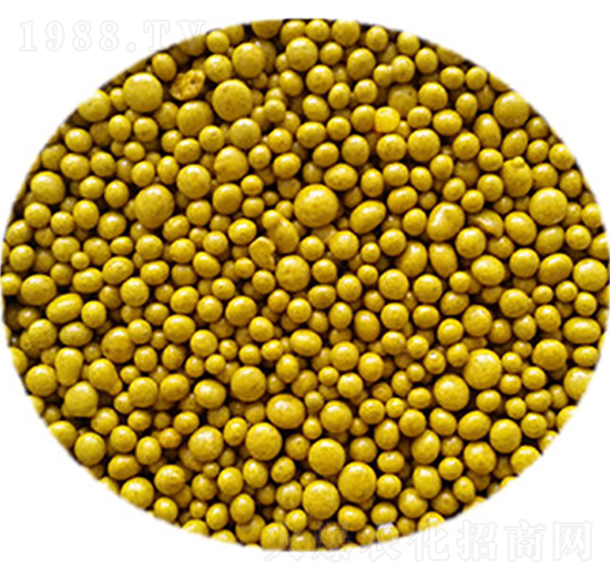 ���ͺϷ�-������