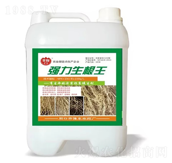 ��(qi��ng)��������-�S��-ʷ�Ͽ�