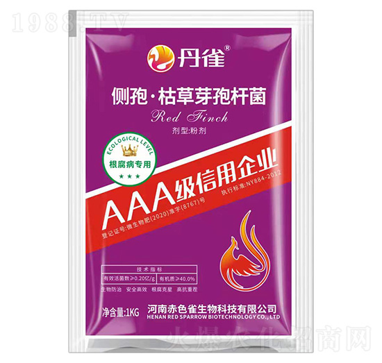 ���ߡ��ݲ�ѿ�ߗU��-��ȸ