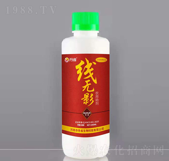 �r������-���oӰ-��ȸ