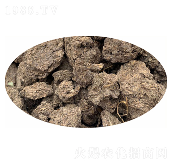 ���ţ�S-�G퍷ʘI(y��)