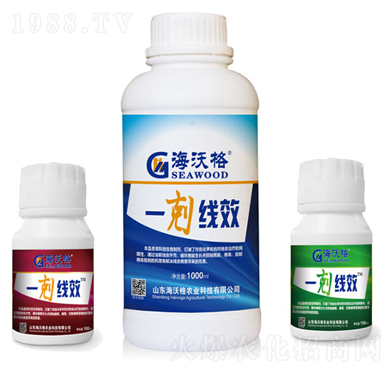 һ�w��(xi��n)Ч-���ָ�