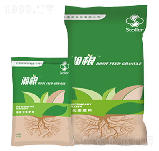 ����Ԫ�ط���-嫸�-������(l��)