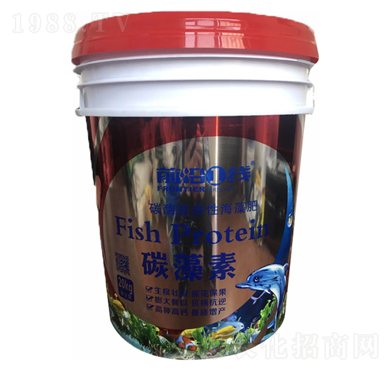 ̼����-ǰ�طʘI(y��)