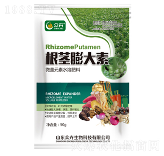 ���o�����-��������