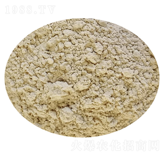 �K�ƽ�ѿ�ߗU��-ϣ���R����