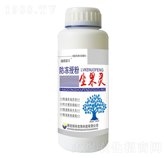 �����ڷ������`-�G���Z�S-�G������