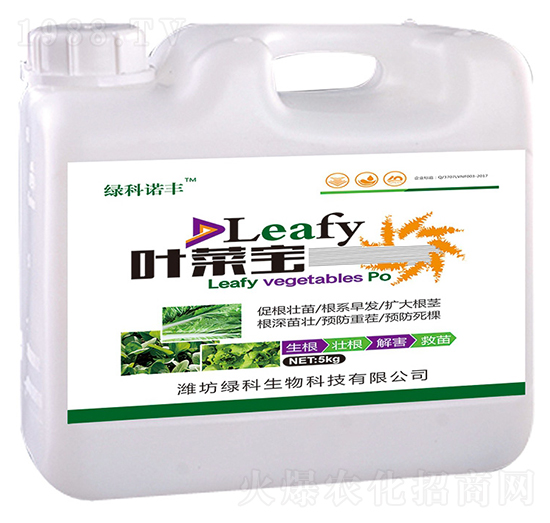 5kg�~�ˌ�-�G���Z�S-�G������