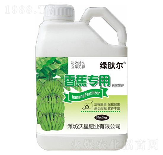 �㽶�����S�����-���ǷʘI(y��)