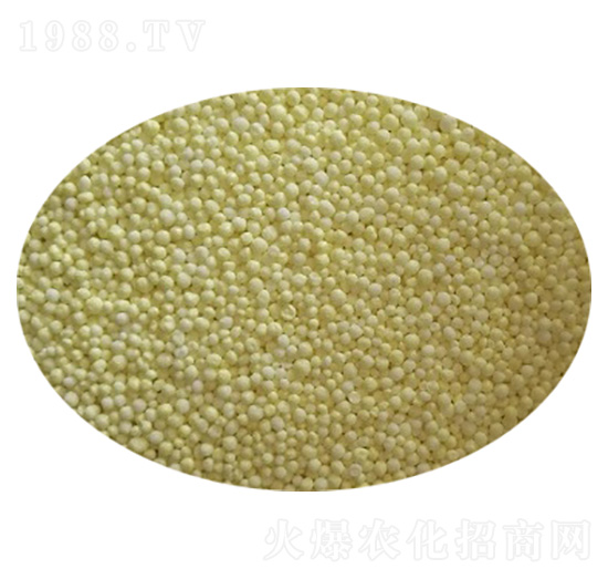 ��Ч��������-�Ŷ�-�����Ƽ�