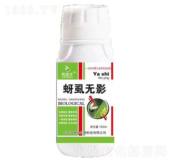 ��ʭ�oӰ-�����S