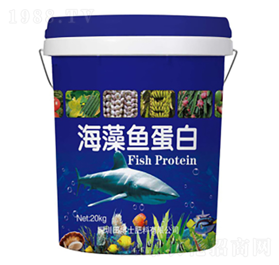 �����~(y��)����-�ﲩʿ