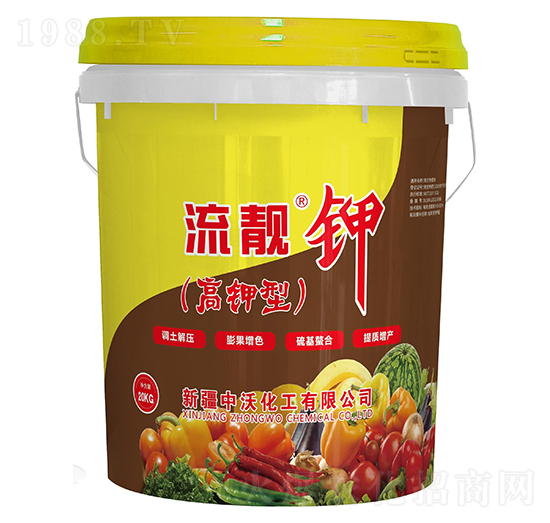 ���n⛣�����ͣ�-����