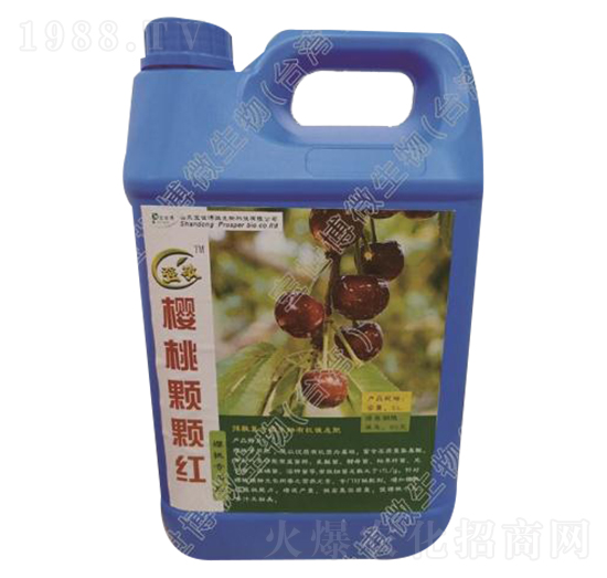 ���Ҍ���Һ�w��-�����w�w�t-������