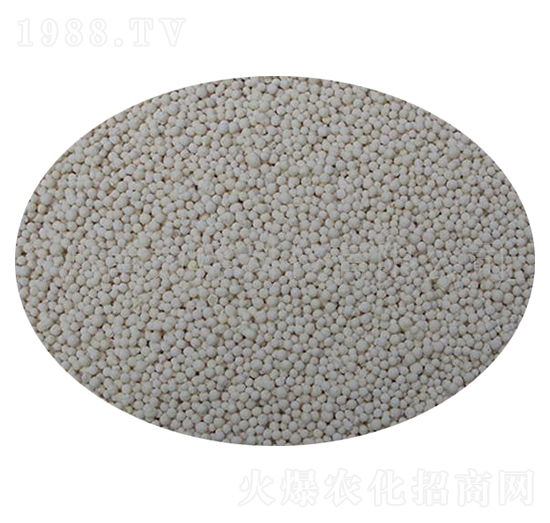 ���������-�����Ƽ�