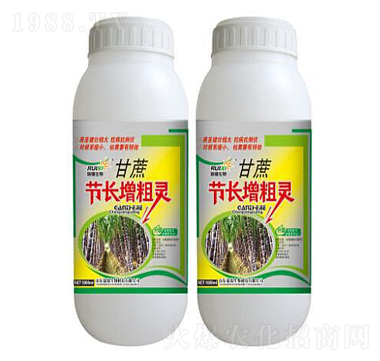 甘蔗節(jié)長(zhǎng)增粗肥-瑞錫生物