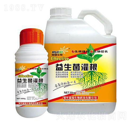 ���������-���a����