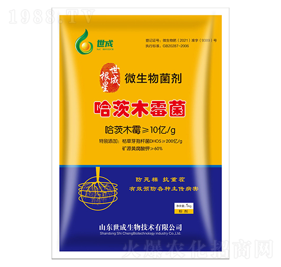 ΢�������-���ɸ���