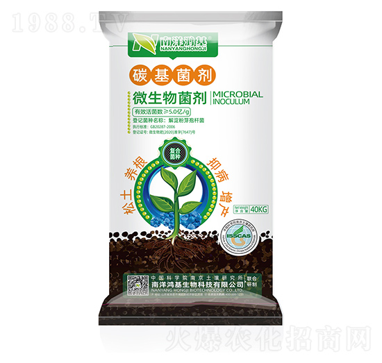 ̼������-��������