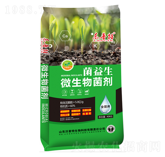 ������΢�������-��(l��)����-������