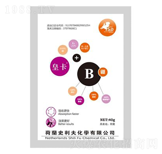 �ʿ���-ʷ����