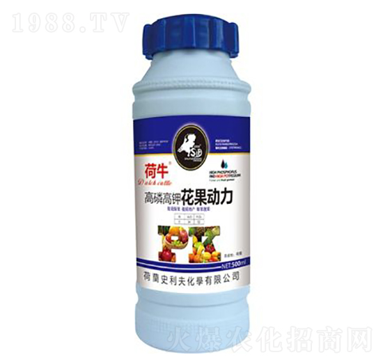 ���׸�⛻�������-��ţ-ʷ����