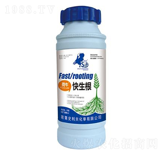 ����������-ʷ����