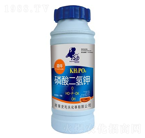 ��������-��ţ-ʷ����