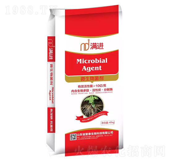 ΢�������-�M�M-��̩����