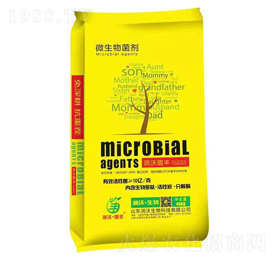 ΢�������-��(r��n)�ֈA�S-��̩����