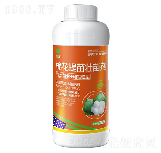 �޻�������焩-�����S