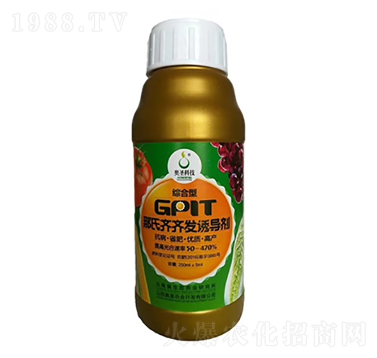 GPlT�����R�R�l(f��)�T����-�Wʥ�r(n��ng)�I(y��)