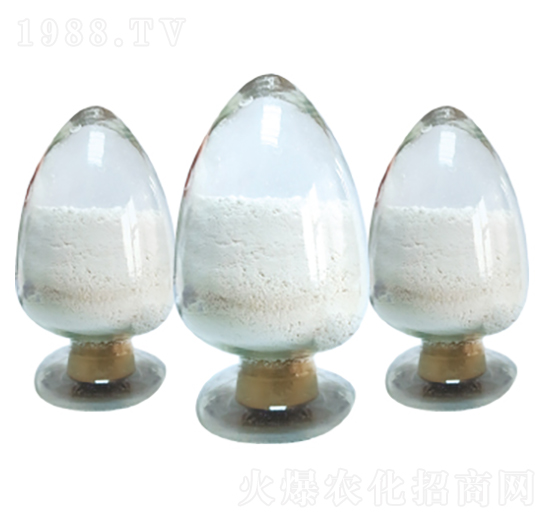 ����(chu��ng)3̖(h��o)��2%��ʮ�鴼��ۣ�-����(chu��ng)����