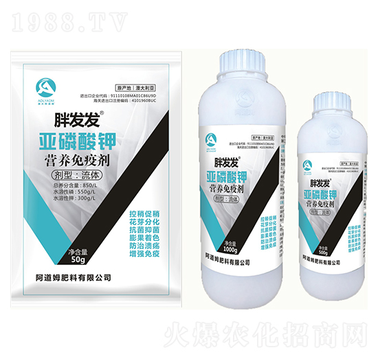 ������⛠I�B(y��ng)���߄�-�ְl(f��)�l(f��)-����ķ