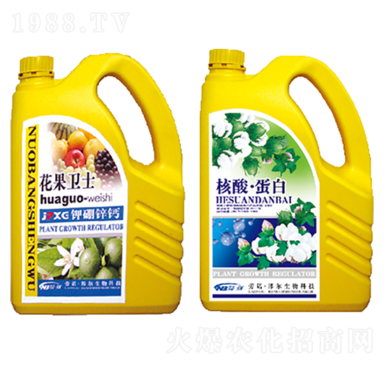 �����l(w��i)ʿ+���ᡤ����-������