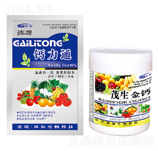 �}��ͨ+ï�����}-������