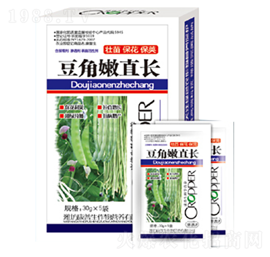 豆角嫩直長(zhǎng)-康普生