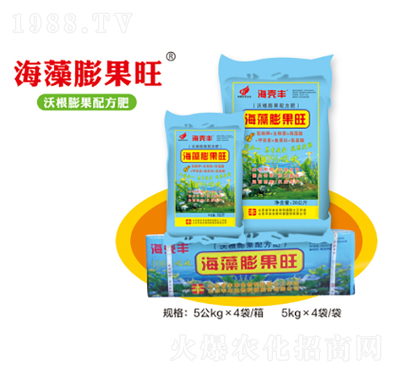 ���������-�S������