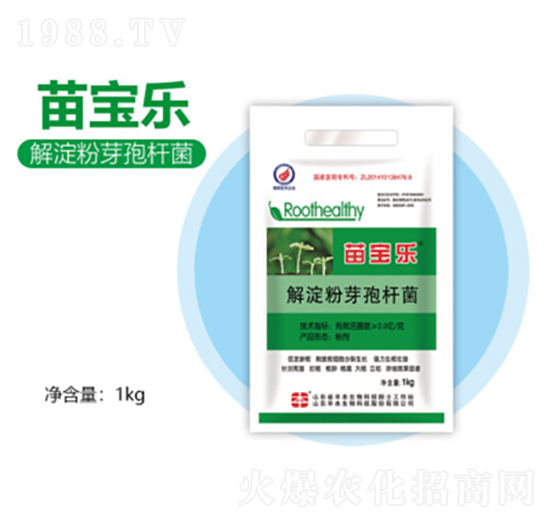 �����ѿ�ߗU��-�猚��-�S������