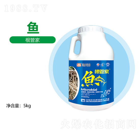 ���ܼ�-�S������