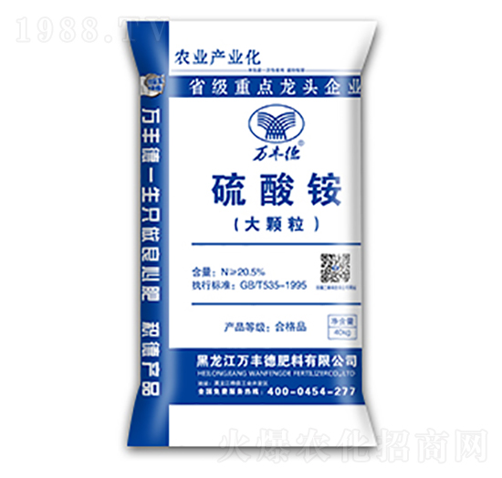 ���w�������@-�f�S��