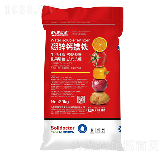 ���\�}�V�F-ʩ�~��-����Ԫ��