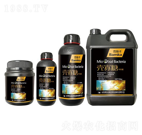 �����Ǽך���-��ķ��-����Ԫ��