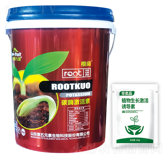 ̼ø������-���-����Ԫ��