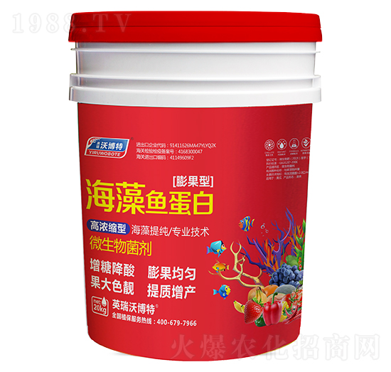 �����~���ף�����ͣ�-Ӣ���ֲ���