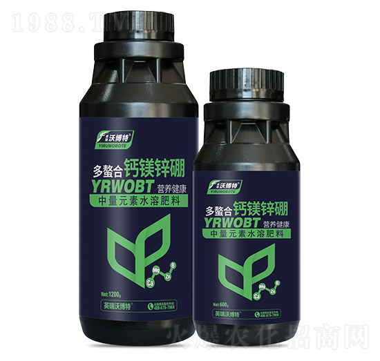 �������}�V�\��-Ӣ���ֲ���