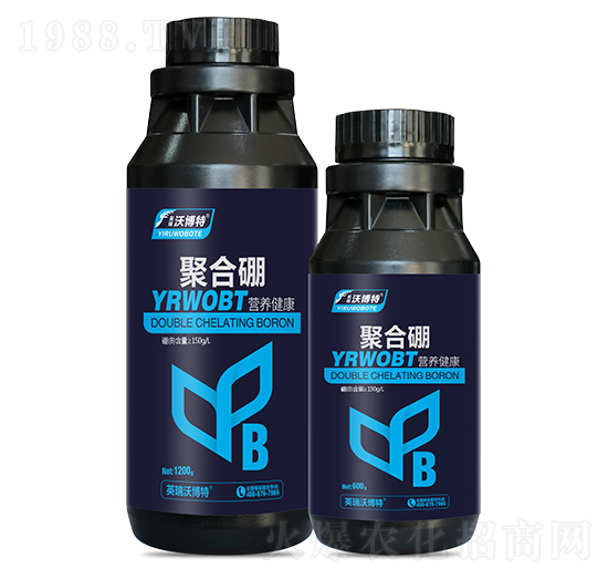 �ۺ���-Ӣ���ֲ���