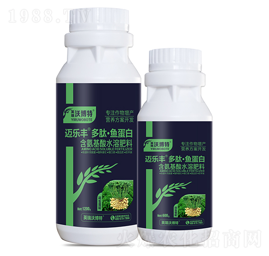 花生需配多肽·魚蛋白-邁樂豐-英瑞沃博特