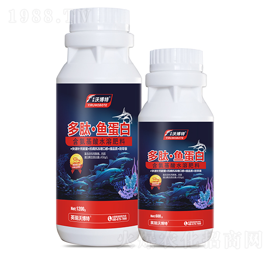 ���ġ��~(y��)����-Ӣ���ֲ���